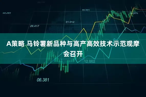 A策略 马铃薯新品种与高产高效技术示范观摩会召开